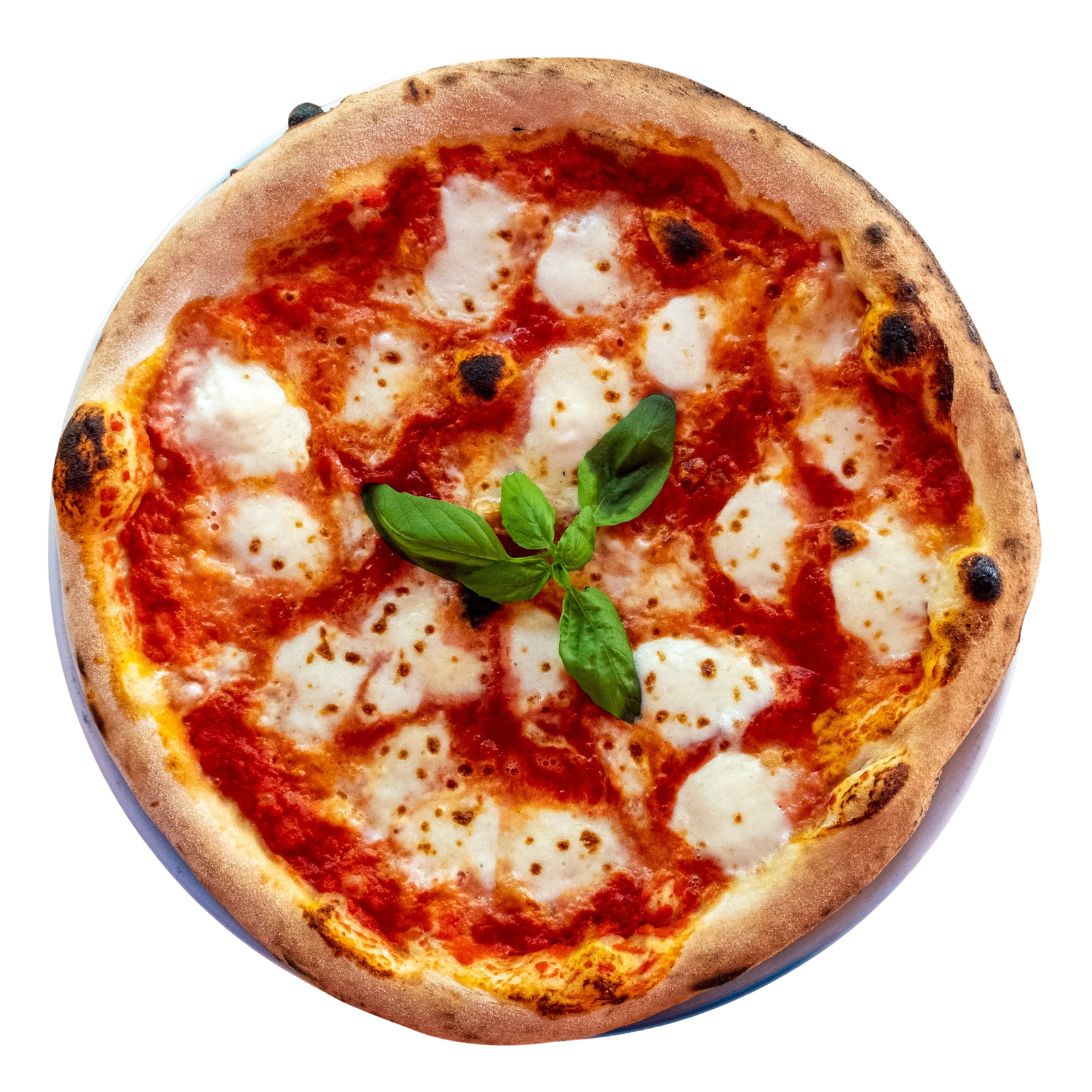 Pizza Margherita